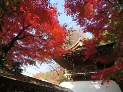 大正寺の山門・神門