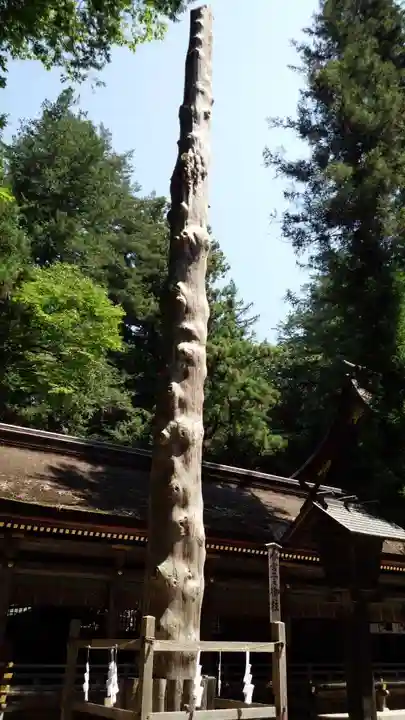 諏訪大社下社春宮の自然