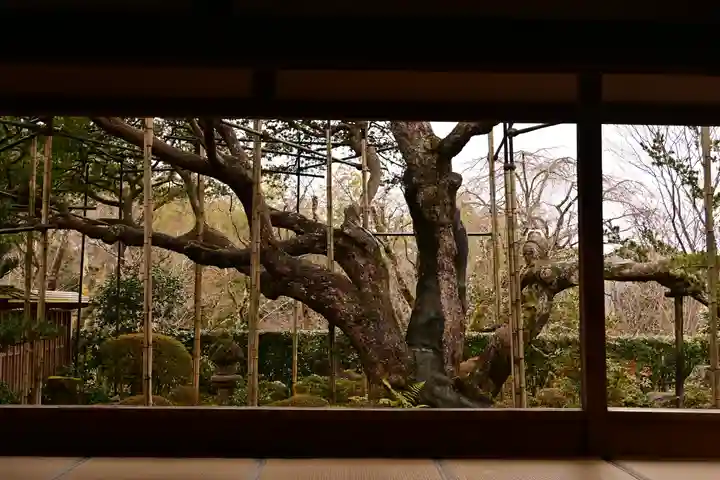 宝泉院(京都府)