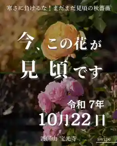 宝光寺(北海道)(2025年10月22日(水) 09時51分42秒投稿)