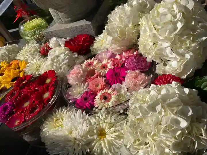 新川皇大神社の手水舎