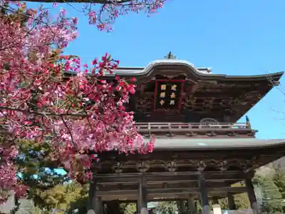 建長寺(神奈川県)