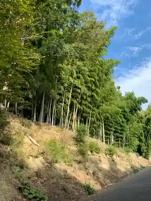 諏訪神社(神奈川県)