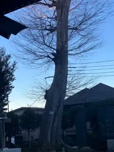 西台天祖神社(東京都)