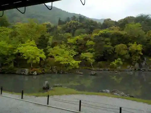 天龍寺の庭園