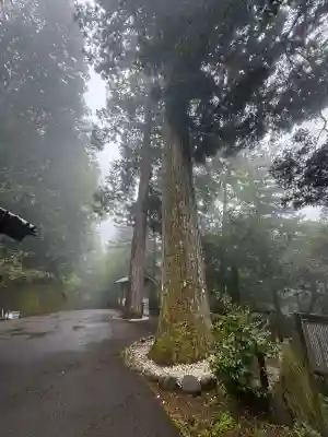 瀧神社(岐阜県)