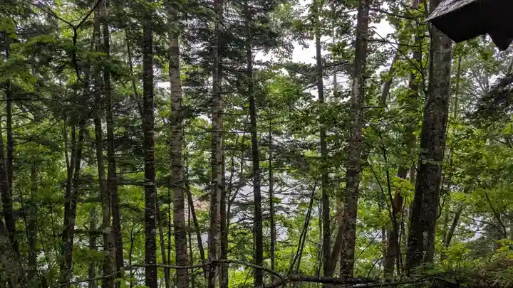 糠平電源神社の自然