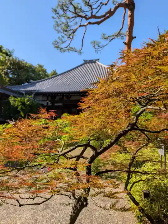 妙法寺(東京都)