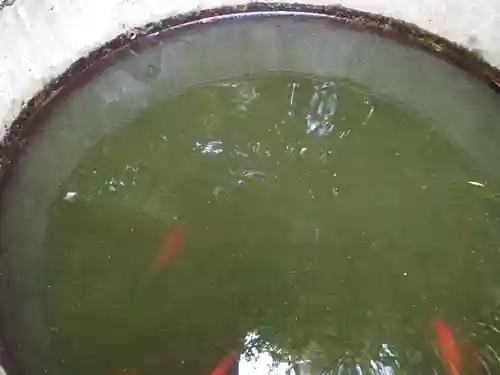 赤城神社(千葉県)