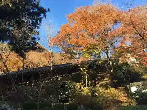 長谷寺のその他建物
