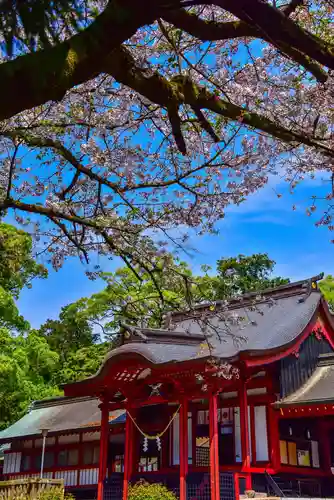 鹿児島神宮の本殿