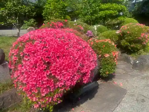 崇禅寺(群馬県)
