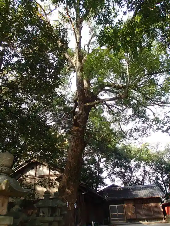 雲甘寺坐楢本神社(奈良県)