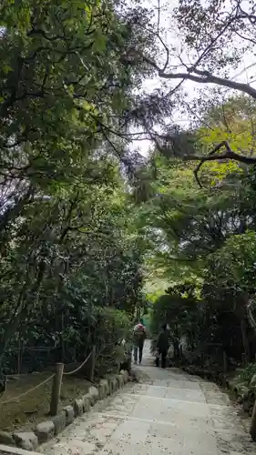 龍安寺(京都府)