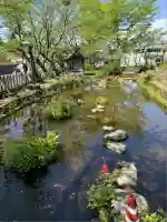 阿蘇神社(熊本県)
