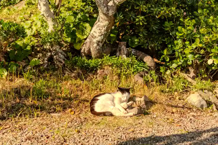 大御神社(宮崎県)
