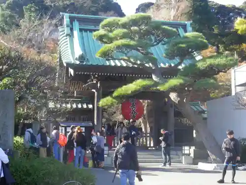 長谷寺の山門