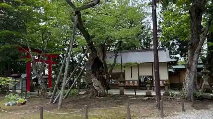 蠶養國神社(福島県)