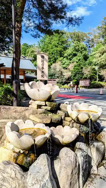 櫻木神社の手水舎