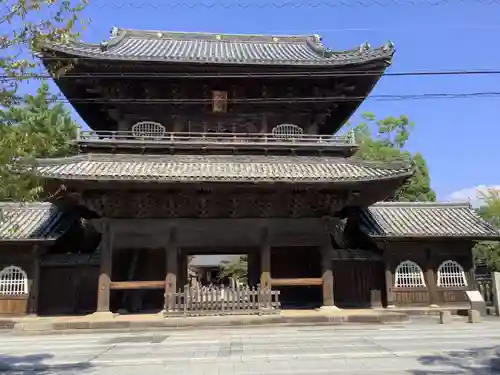 大樹寺（松安院大樹寺）の山門・神門