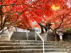 紅葉八幡宮の景色