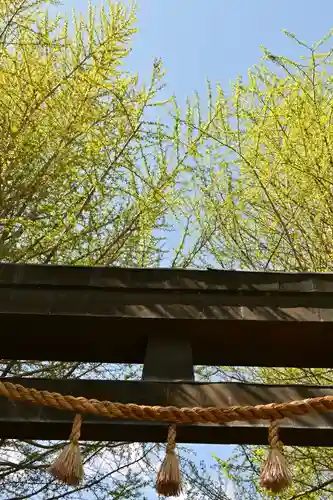 諏訪大社上社前宮(長野県)