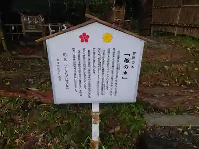 矢奈比賣神社（見付天神）(静岡県)