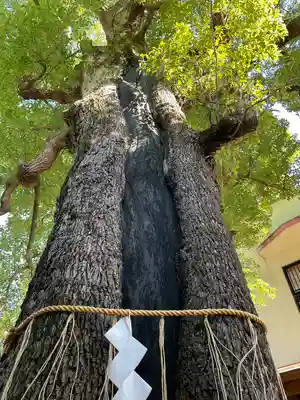 五方山熊野神社(東京都)