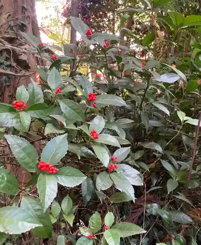 新倉氷川八幡神社(埼玉県)