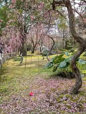 城南宮の{uncategorized: "未分類", other: "その他", undefined: "問題あり", building: "その他建物", grave: "お墓", sacred_gate: "鳥居", guardian: "狛犬", statue: "像", buddha: "仏像", history: "歴史", nature: "自然", garden: "庭園", animal: "動物", pagoda: "塔", temizu: "手水舎", mountain_gate: "山門・神門", sanctuary: "本殿・本堂", subordinate: "末社・摂社", art: "芸術", scenery: "景色", jizo: "地蔵", ema: "絵馬", goshuin: "御朱印", omikuji: "おみくじ", items: "授与品その他", amulet: "お守り", goshuincho: "御朱印帳", eats: "食事", festival: "お祭り", votive_dance: "神楽", shichigosan: "七五三参", wedding: "結婚式", experience: "体験その他", initially: "初詣", around: "周辺", anti_infection: "感染症対策"}