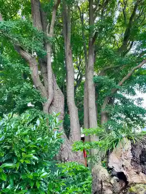 由比若宮（元鶴岡八幡宮）(神奈川県)