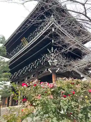 くろ谷 金戒光明寺(京都府)