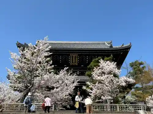 くろ谷 金戒光明寺(京都府)