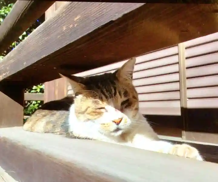 荻窪白山神社(東京都)