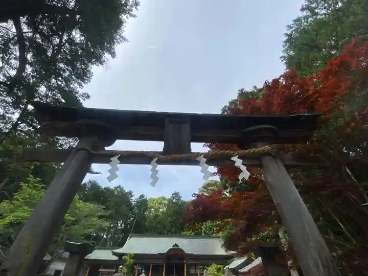 海神社(和歌山県)