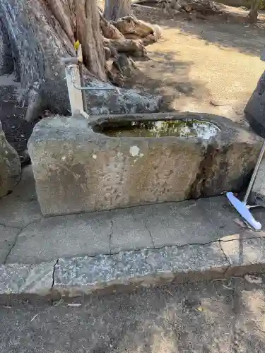 細石神社の{uncategorized: "未分類", other: "その他", undefined: "問題あり", building: "その他建物", grave: "お墓", sacred_gate: "鳥居", guardian: "狛犬", statue: "像", buddha: "仏像", history: "歴史", nature: "自然", garden: "庭園", animal: "動物", pagoda: "塔", temizu: "手水舎", mountain_gate: "山門・神門", sanctuary: "本殿・本堂", subordinate: "末社・摂社", art: "芸術", scenery: "景色", jizo: "地蔵", ema: "絵馬", goshuin: "御朱印", omikuji: "おみくじ", items: "授与品その他", amulet: "お守り", goshuincho: "御朱印帳", eats: "食事", festival: "お祭り", votive_dance: "神楽", shichigosan: "七五三参", wedding: "結婚式", experience: "体験その他", initially: "初詣", around: "周辺", anti_infection: "感染症対策"}