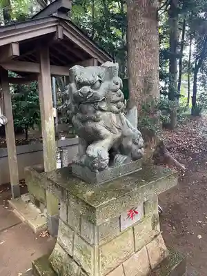 大蛇摩賀多神社(千葉県)