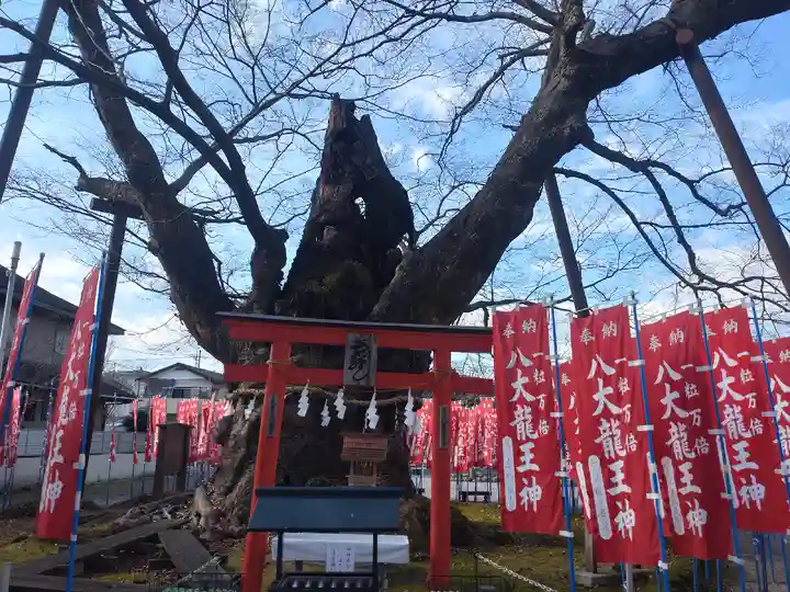 秩父今宮神社(埼玉県)
