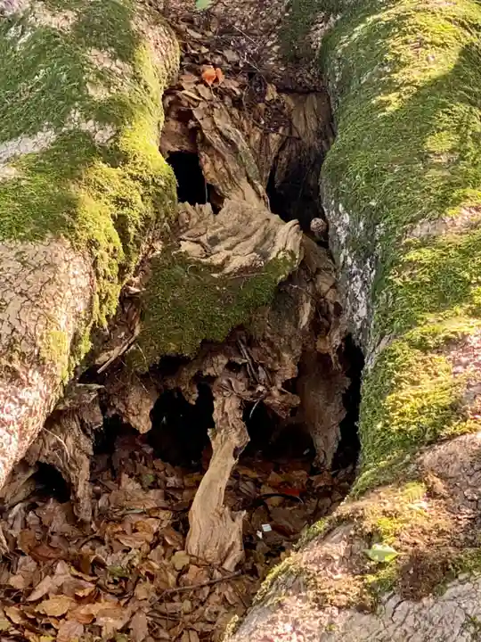尾鷲神社(三重県)