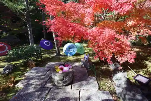 勝林寺(京都府)