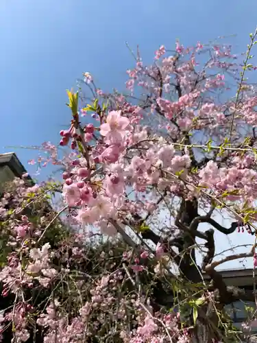 幸龍寺の自然