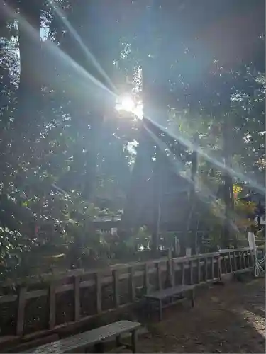 鹿島神宮(茨城県)