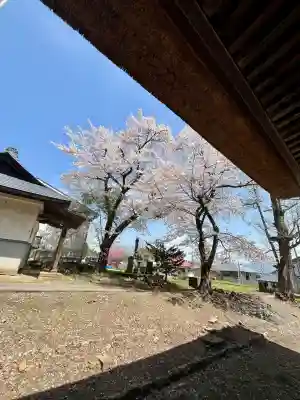 新宮熊野神社(福島県)