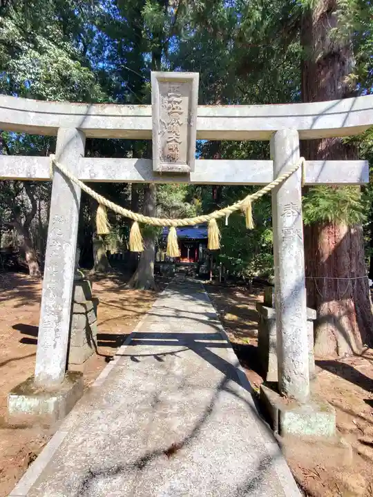 鹿島神社 本殿(栃木県)