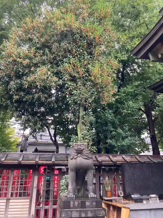下谷神社の狛犬