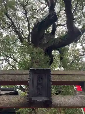 住吉大社(大阪府)