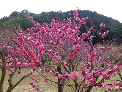 西来寺(山口県)