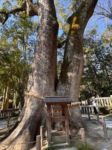 伊弉諾神宮(兵庫県)