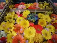 豊平神社の手水舎