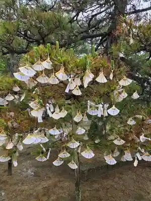 智恩寺(京都府)